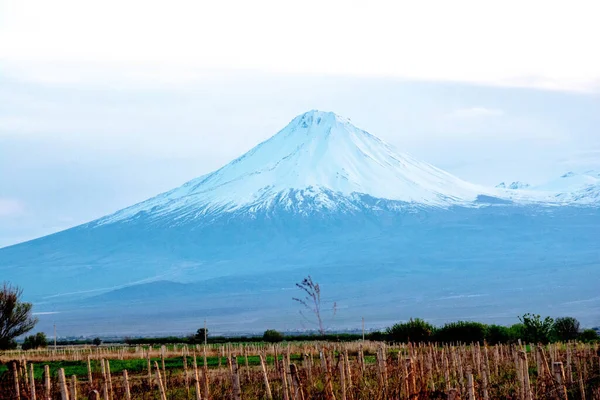 Ararat Hegy Tetejét Borítja — Stock Fotó