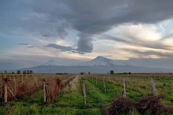 Famosa Montagna Ararat Simbolo Dell Armenia — Foto Stock