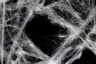 Siyah karşı Halloween örümcek ağı