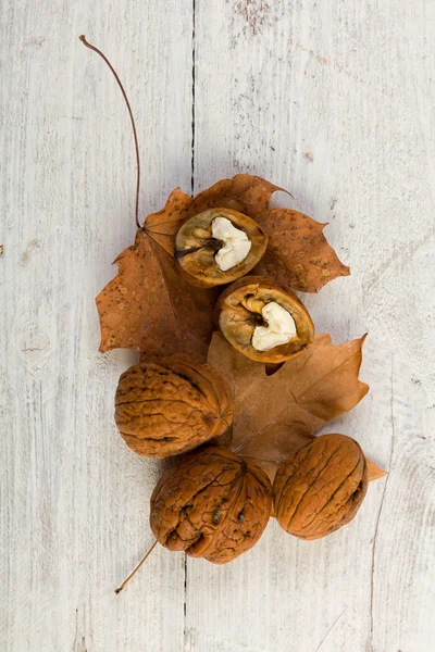 Autumn still life with walnuts — Stock Photo, Image