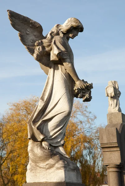 A törlésre kijelölt temető angyal — Stock Fotó