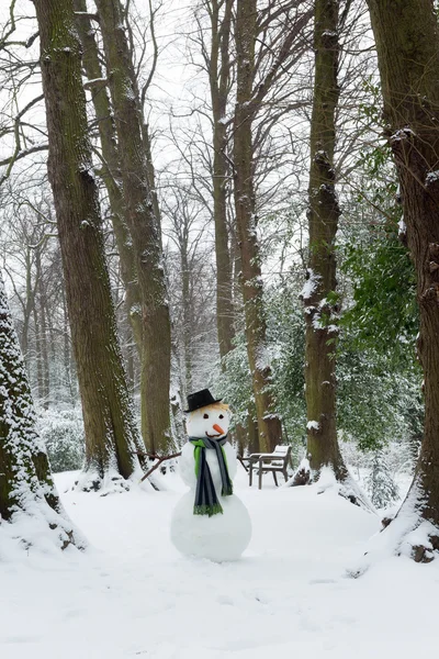 Dia de inverno com boneco de neve — Fotografia de Stock