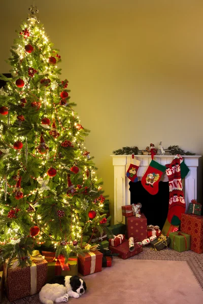 Boże Narodzenie w domu — Zdjęcie stockowe