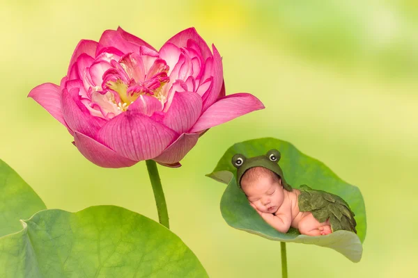 Baby sleeping on lotus leaf — Stock Photo, Image