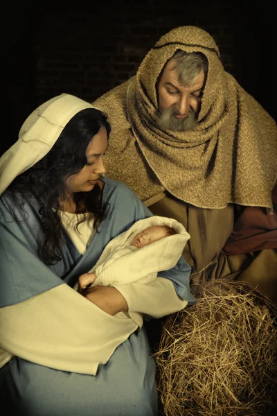 Weihnachtskrippe — Stockfoto