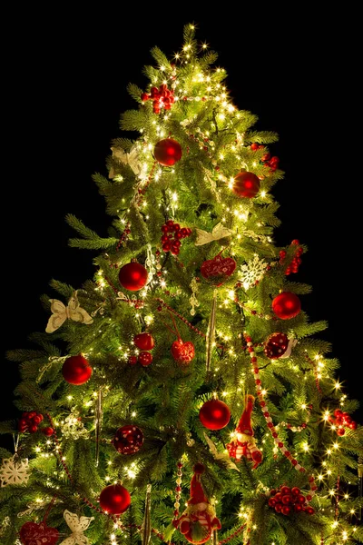 Haut de l'arbre de Noël — Photo