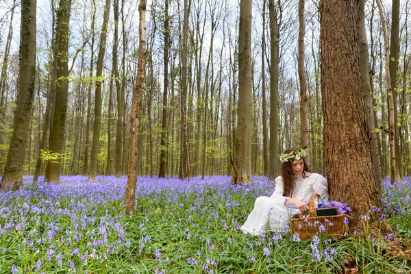 Victorian woman in bluebells forest — Stock Photo, Image