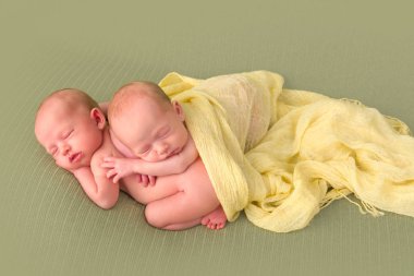 Identical twins sleeping clipart
