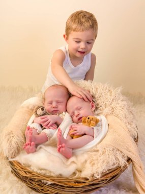Toddler boy with identical twin babies clipart
