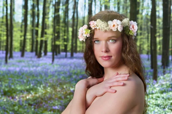 Primavera beleza em bluebells floresta — Fotografia de Stock