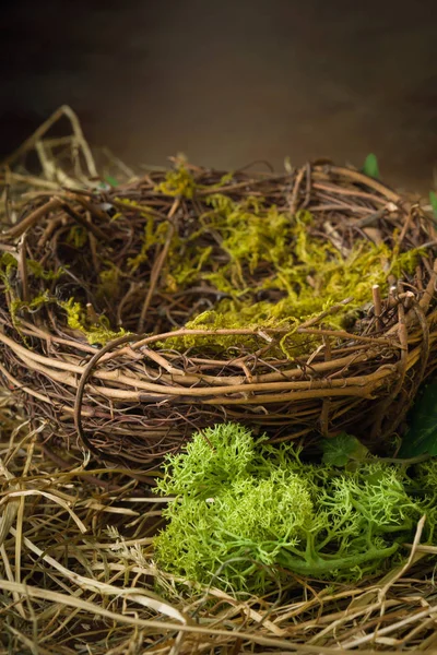 Empty nest with hay and moss — Stock Photo, Image