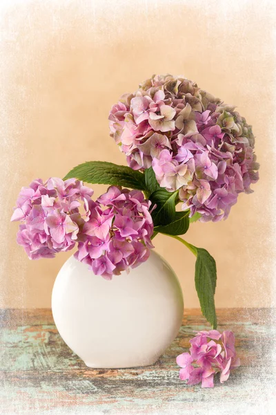 Pastel flores de pintura — Foto de Stock