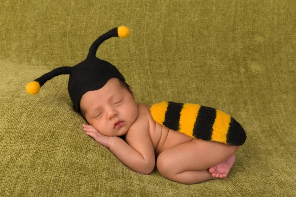 Милый пчелиный малыш — стоковое фото