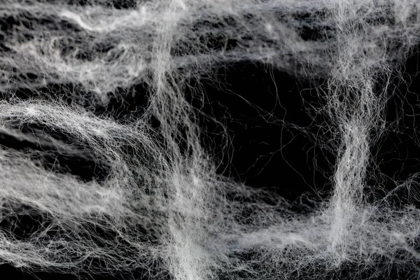 Spindelnät med kopia utrymme — Stockfoto
