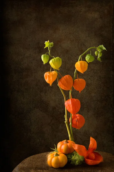 Jesień Martwa natura z kwiatami latarnia — Zdjęcie stockowe