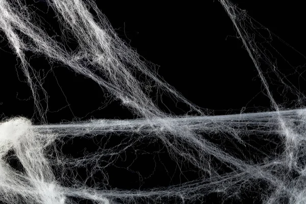 覆盖对黑色蜘蛛网 — 图库照片