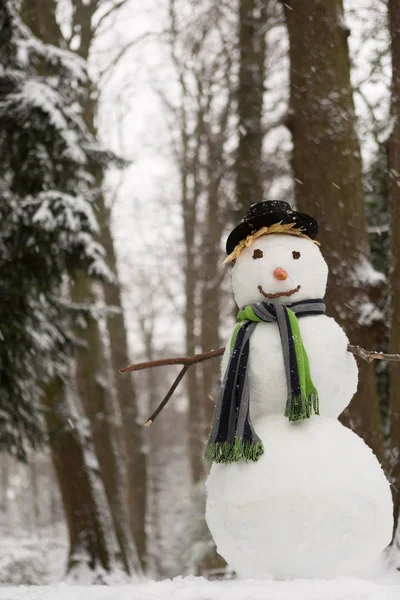 Χαρούμενος χιονάνθρωπος στο πάρκο — Φωτογραφία Αρχείου