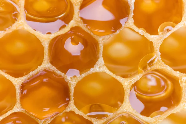 Peine de abeja macro extremo — Foto de Stock