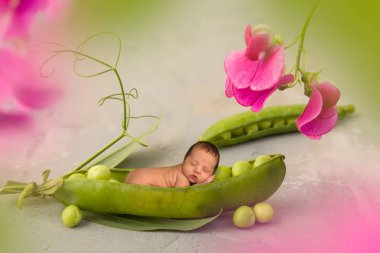 Newborn baby in pea pod clipart
