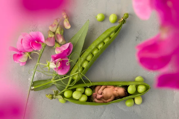 Bebé en vaina de guisante — Foto de Stock