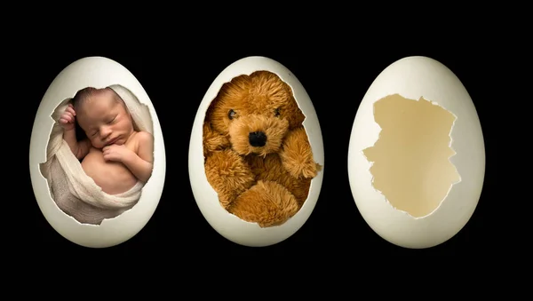 Νεογέννητο μωρό σε αυγό — Φωτογραφία Αρχείου