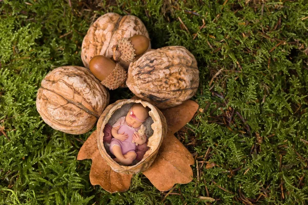 Baby girl in walnut — Stock Photo, Image