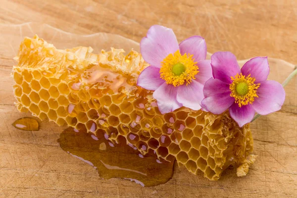Rózsaszín virágok és a méhsejt — Stock Fotó
