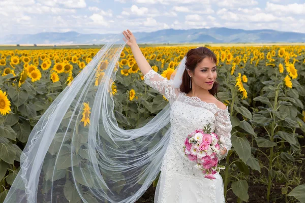 Sheer véu nupcial no campo de girassol — Fotografia de Stock