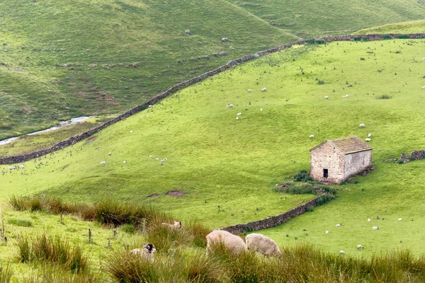 Yorkshire Dales with barn — Stock Photo, Image