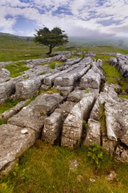 Kireç taşı kaldırım Settle, Yorkshire Dales yakınındaki