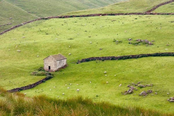 Rollende hils in de buurt van Littondale, Yorkshire Dales — Stockfoto