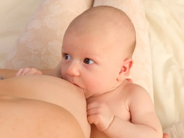 Bebek besleme — Stok fotoğraf