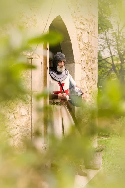 Knight templar in doorway — Stok fotoğraf