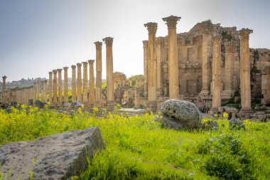 Gerasa, Jerash, Ürdün 'deki Roma harabelerine bakın.