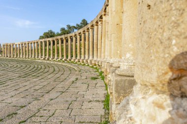 Roma antik Gerasa, Jerash, Ürdün 'deki Oval Forum' un dairesel sütunlarına yakın çekim ve detay