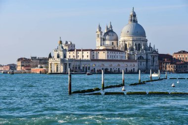 Santa Maria della Salute Venedik, İtalya
