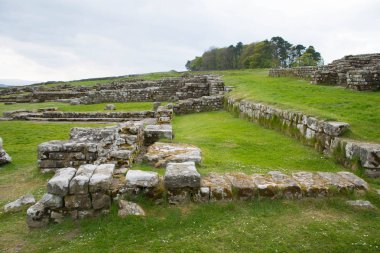 Housesteads Roman Fort, Hadrian Duvarı'nın, Northumberland