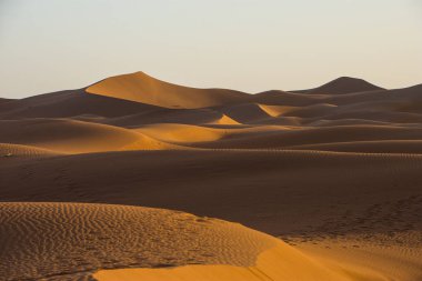 Sahra Çölü, dünyanın en büyük çölü