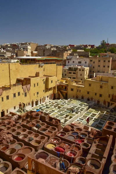 Tannerie Fès Maroc — Photo