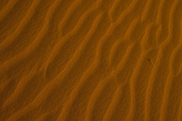 Wüste Sahara Die Größte Wüste Der Welt — Stockfoto