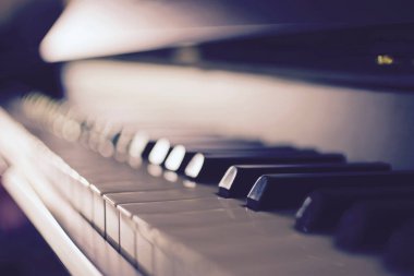 Bir klavye ile seçilen odak Close-Up