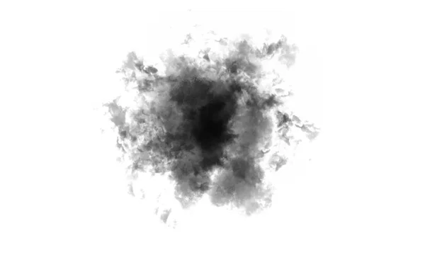 Black Abstract Brush Isolated White — 스톡 사진