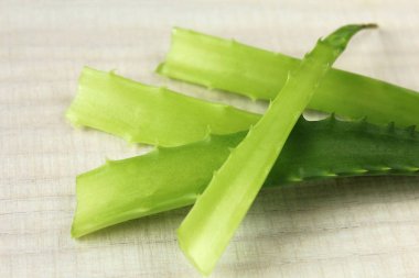 Close-up composition with green aloe vera leaves on white wooden