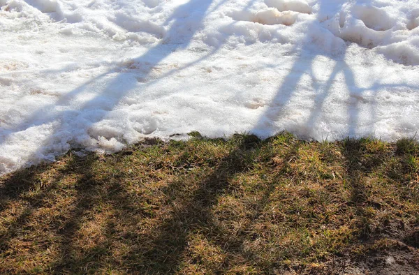 Primer Plano Nieve Derretida Hierba Suelo Primavera —  Fotos de Stock