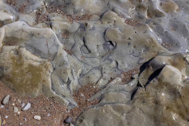 Bir dizi fotoğraf. Eski taş oluşumları. Entellektüeller, işaretler, yüzler. Deniz yaşamının kalıntıları ve kayaların üzerindeki yosunların izleri. Byala tatil beldesi, Bulgaristan.