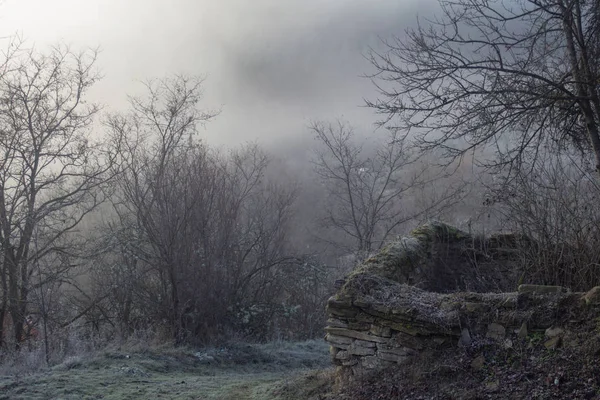 Eine Reihe Nebliger Landschaften Winter Eine Alte Steinmauer Der Nähe — Stockfoto