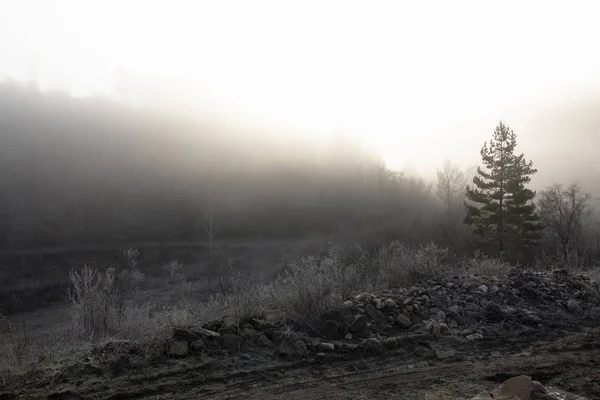 Eine Reihe Nebliger Landschaften Winter Auf Der Vereisten Landstraße Vor — Stockfoto