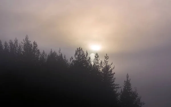 Eine Reihe Nebliger Landschaften Winter Die Sonnenscheibe Taucht Vom Berghügel — Stockfoto