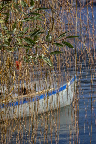 Beautiful View Olive Branches Branches Weeping Willow Backdrop Boat Lake — Stock Photo, Image