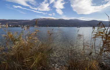 A series of lake landscapes. Wind in the reeds. Against the background of water, mountain hills and cloudy sky. Ohrid Lake, Northern Macedonia.